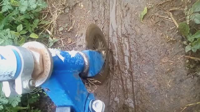 интересно, как правильно отмыть самокат?...