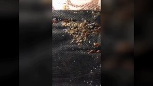 Уничтожение постельных клопов
📞+7-912-243-00-02 или пишите в месенджеры