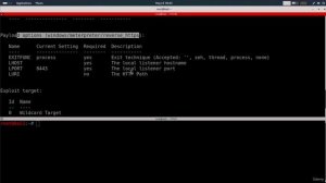 17.2 Ex1 - Generating a Backdoor That Works Outside The Network