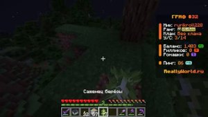 Стрим на Reallyworld