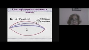 Физиологические роды.