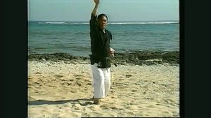 Сенсей Матаёши Симпо, ката Хакучо