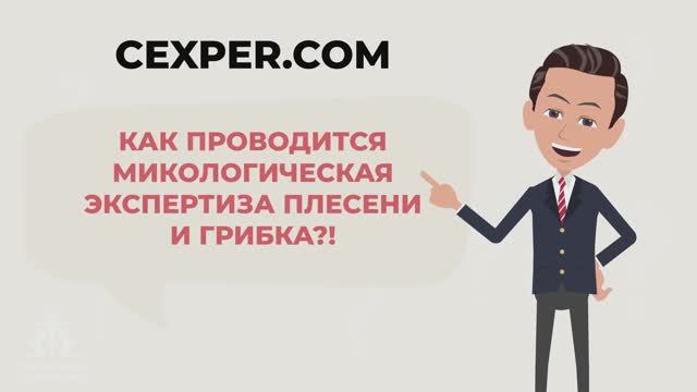 Как проводится микологическая экспертиза?