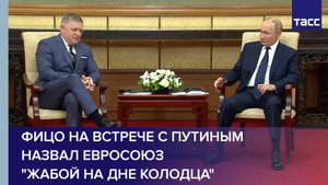 Фицо на встрече с Путиным назвал Евросоюз "жабой на дне колодца"