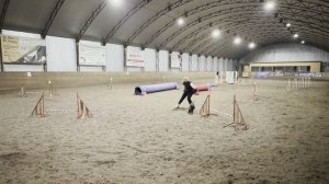 02.09.2025 — Тренировка по аджилити