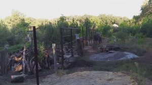 Забетонировал 4 сторону столбов для забора  .Осталось срезать верхушки столбов по уровню .