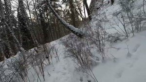 Виктор Цой. Кино-Раньше в твоих глазах (Black Sabbath-Planet Caravan)