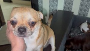 Доброго всем утречка и веселого начала дня.