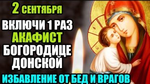 2 сентября ВКЛЮЧИ 1 РАЗ МОЛИТВА ИЗБАВИТ ОТ БЕД И ВРАГОВ! Акафист Богородице Донской! Православие. ☦️