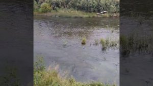 Деревня моя.