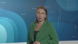 Новости Владимира и Владимирской области 2 сентября 2025 года. Дневной выпуск