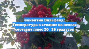 Синоптик Вильфанд: Температура в столице на неделе составит плюс 20‑26 градусов