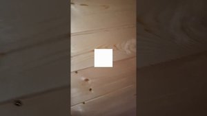 1000033651.mp4 (Собака наблюдает за креплением имитации бруса на в/фронтоне на 2 эт. дома А-фрейм)