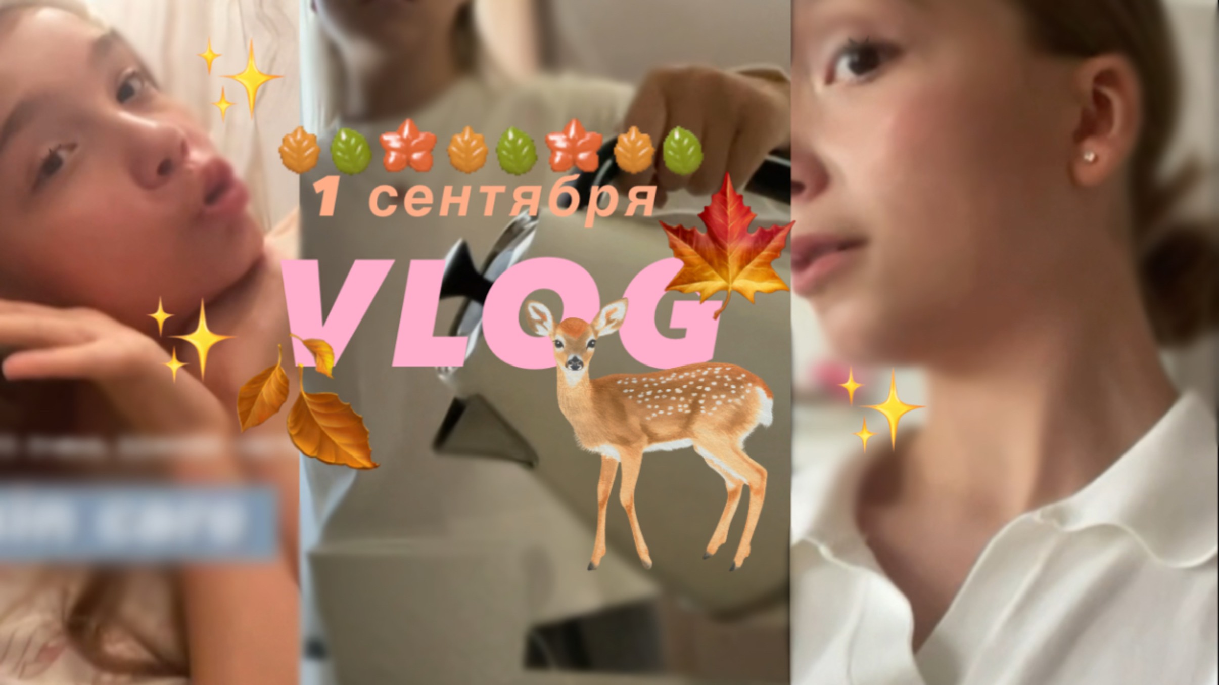Vlog осенний ✨🍁#влог #Влог 1 сентября школьный смотреть онлайн