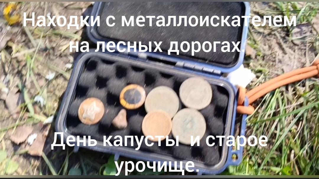 Находки с металлоискателем на лесных дорогах. ( день капусты и старое урочище)