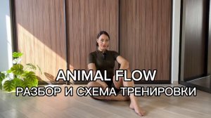 ANIMAL FLOW. Схема тренировки.