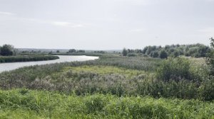 Замечательные рыбные пруды.