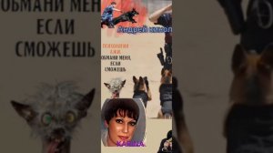 Карина и продлеватели 404