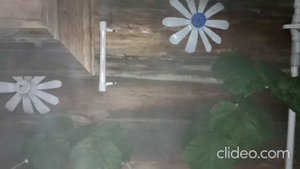 Провожаем Лето 2025, Идёт дождь, Перетоп Бани,  Созрел Виноград, Последний укос Травы в этом году