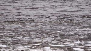 Хруст первого льда на Суйстамонъярви