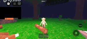 ИГРАЕМ С ПОДПИСЧИКОМ В 99 НОЧЕЙ В ЛЕСУ!