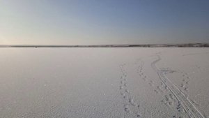 Рыбалка на Шульбинском в/х