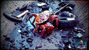 Искусственный интеллект Fallout.
