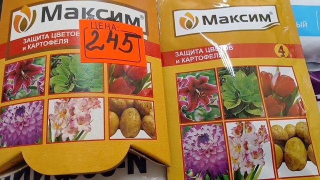 2084.  Обязательно нужно сделать сейчас,в сентябре?