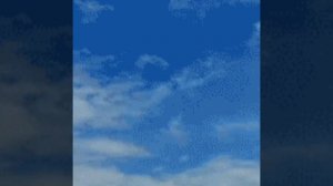 История про леди баг