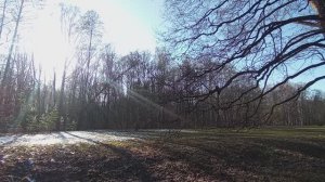 Весенний парк