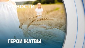 Рекордная жатва! Как аграрии Минской области добились высоких результатов