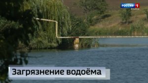 Пруд, в котором когда-то не переводилась рыба, стал местом, которое сейчас люди обходят стороной