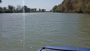 VID_20250831_132211