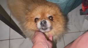 Доброго всем вечера и самой спокойной ночи.