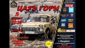 Царь горы спорт Шадринск 05 04 2025