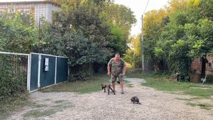 Бельгийская овчарка 3,5 месяцев Бэлла! Отработка команды ко мне с котиками!