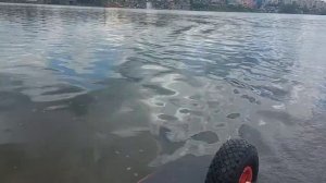 Tohatsu 2.5 на что способен этот малыш.