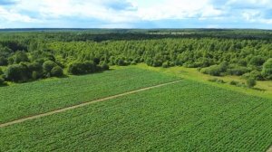 ООО "ПроАгро" вступило в Союз органического земледелия