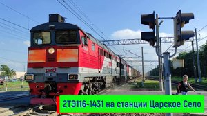 Тепловоз 2ТЭ116-1431 на станции Царское Село