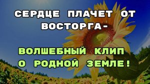 ❤️ Я ЛЮБЛЮ ВСЕ ЧТО ЕСТЬ У МЕНЯ! Откройте для себя красоту Ростовского края !