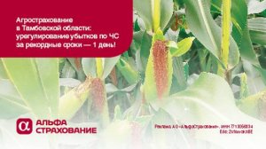 Агрострахование в Тамбовской области. Рекордные сроки урегулирования убытков по ЧС - 1 день!