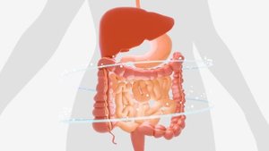 Сайт Гаряев-Матрицы.РФ АРХИВ CD Единственная Матрица Гаряева для Кишечника ☀️ Квантовое исцеление Ки