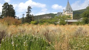 Этюд с бабочками в саду ароматов Массандровского дворца