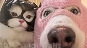 Играю в Bedwars