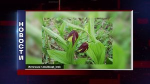 КОРОТКИЕ НОВОСТИ 2025.09.01