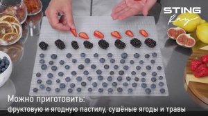 Электросушилка STINGRAY ST-FD736B