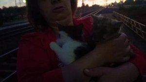 Безжалостные люди подбросили котят, новые герои канала.