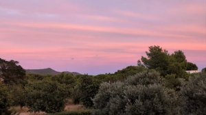 743.Начиналось нежно-розово, но перешло в жгучую драму 🌄.