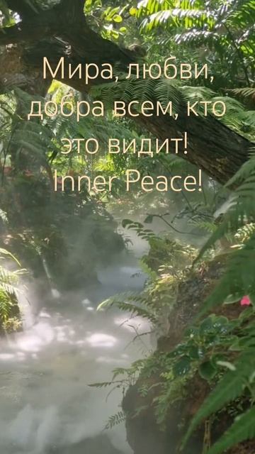 Канал с медитациями, написанным практикующим психологом! #медитация #528hz #432hz смотреть онлайн