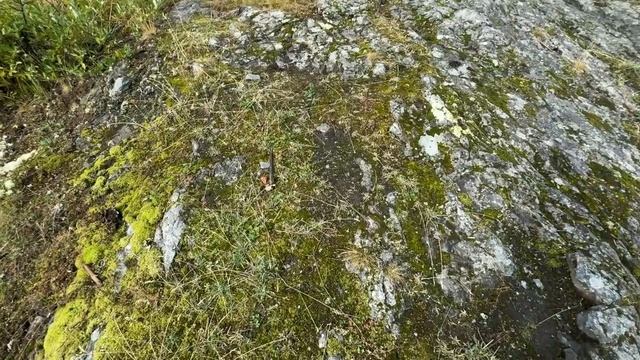 Медвежьегорск - открытие путешествия  Суровый северный трип  День 5-6